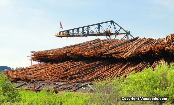 wood harvesting from trees