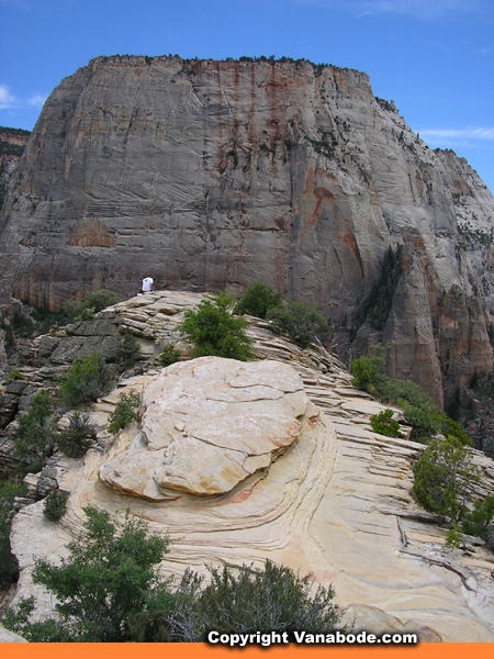 top of angels landing picture