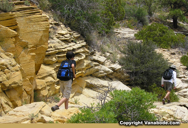 hiking observation trail picture