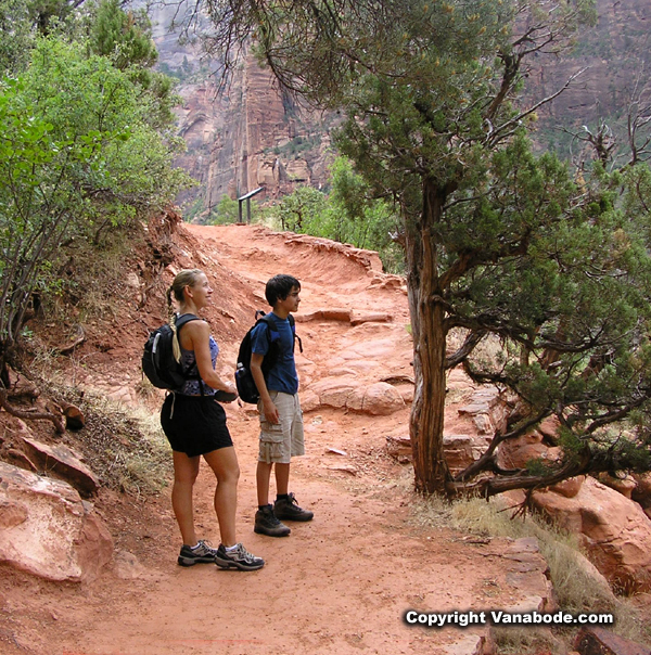 hikers on emerald pools trail picture