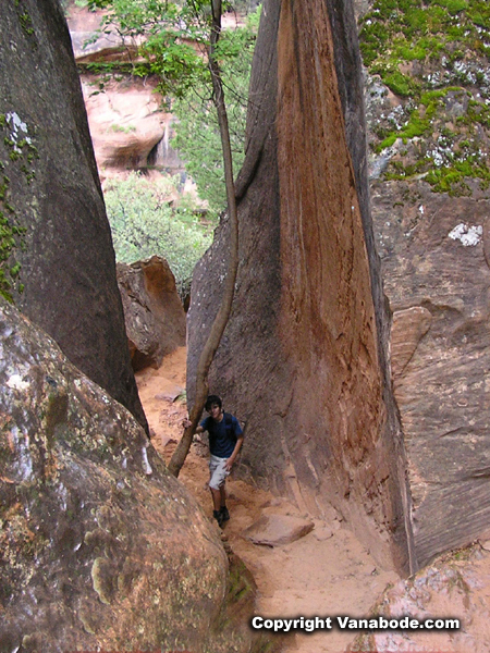 trail to the upper pools picture