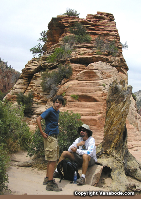 scout lookout picture